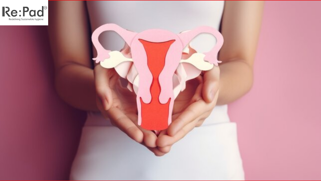 Do Sanitary Pads Cause Cervical Cancer RePad